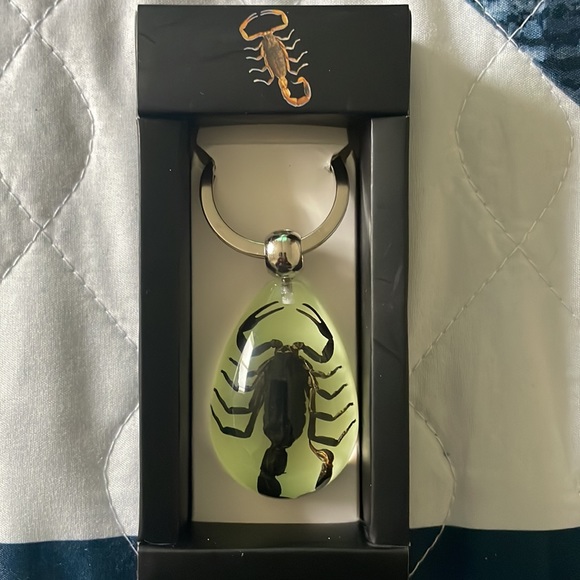 BLACK SCORPION - Picture 4 of 4